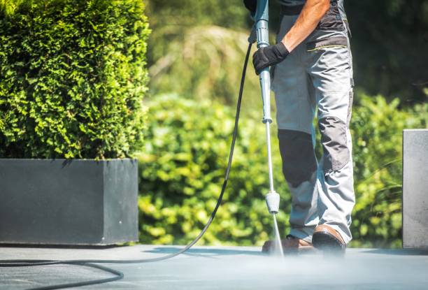 Best Winterizing Services  in The Homesteads, TX